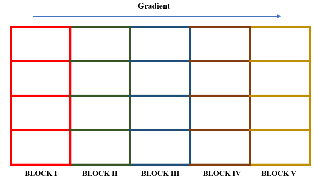 Division of an experimental field into five blocks, each consisting of four plots, for a RCBD with four treatments and five replications. Blocking is done such that blocks are rectangular and perpendicular to the direction of the unidirectional fertility gradient