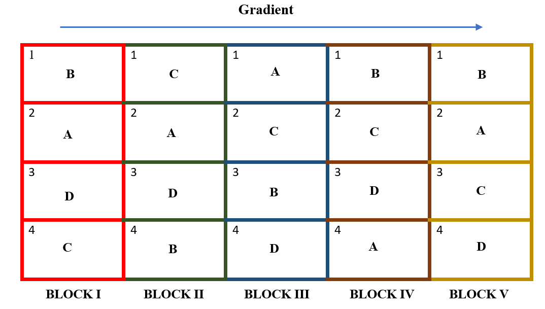 Allotment of treatments in all blocks. In RCBD each block will have all the treatments and each treatment appear in a block exactly once. 