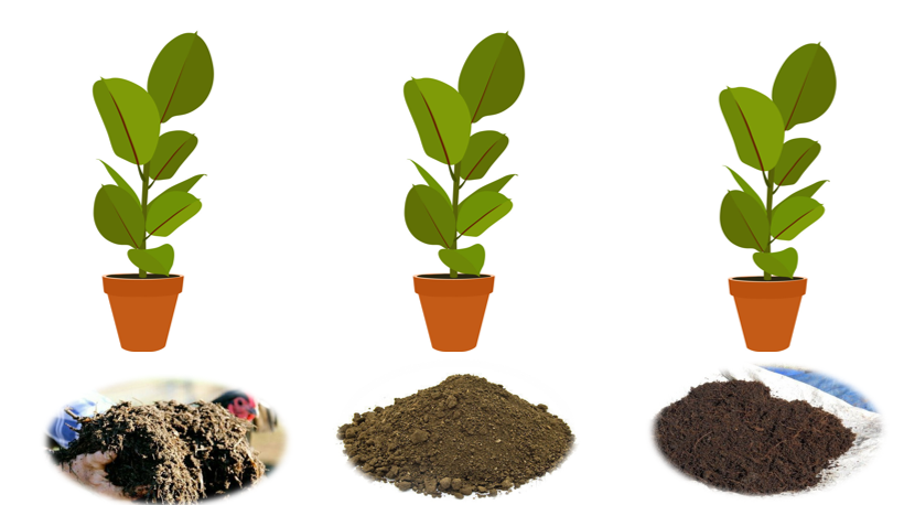 Treatments given to potted plants as shown