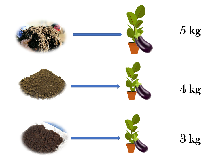 Yield observed from the plants